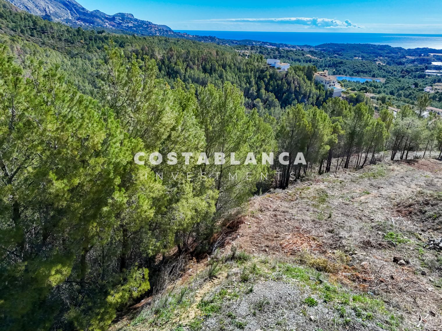 Plot – Altea: photo 4/7