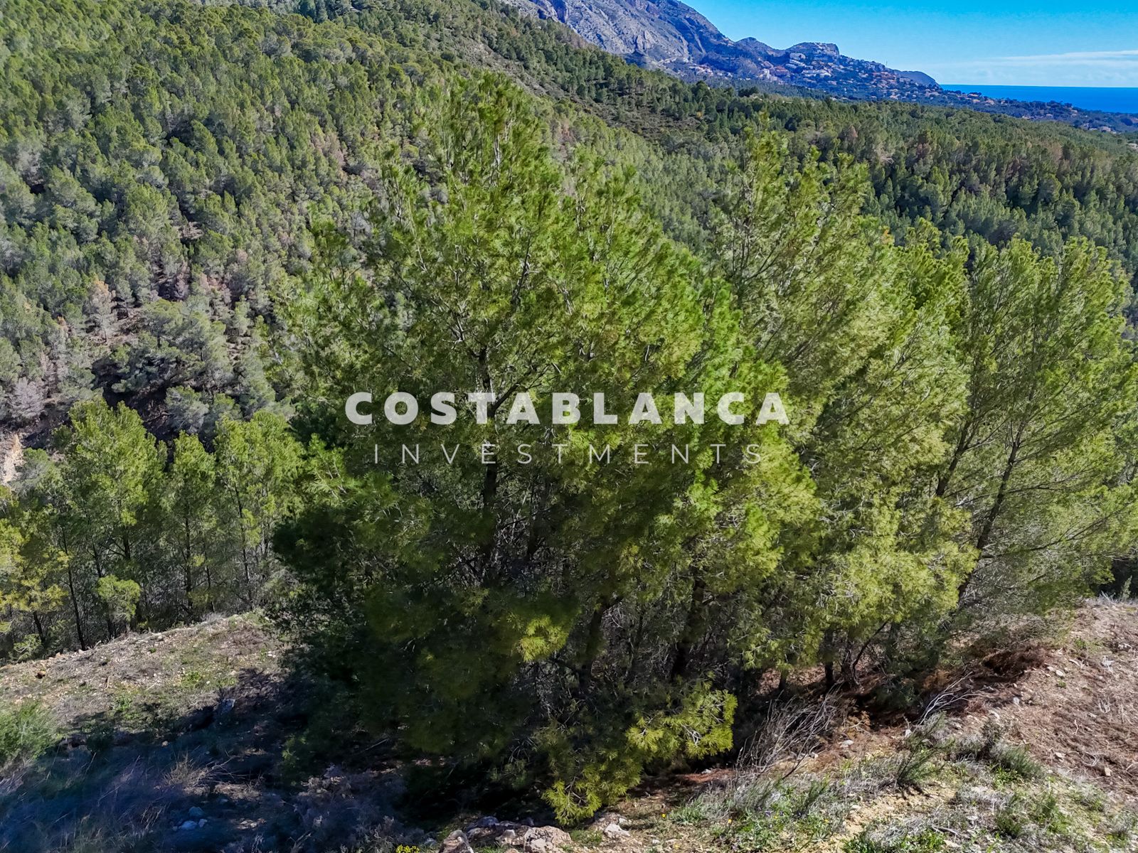 Plot – Altea: photo 5/7