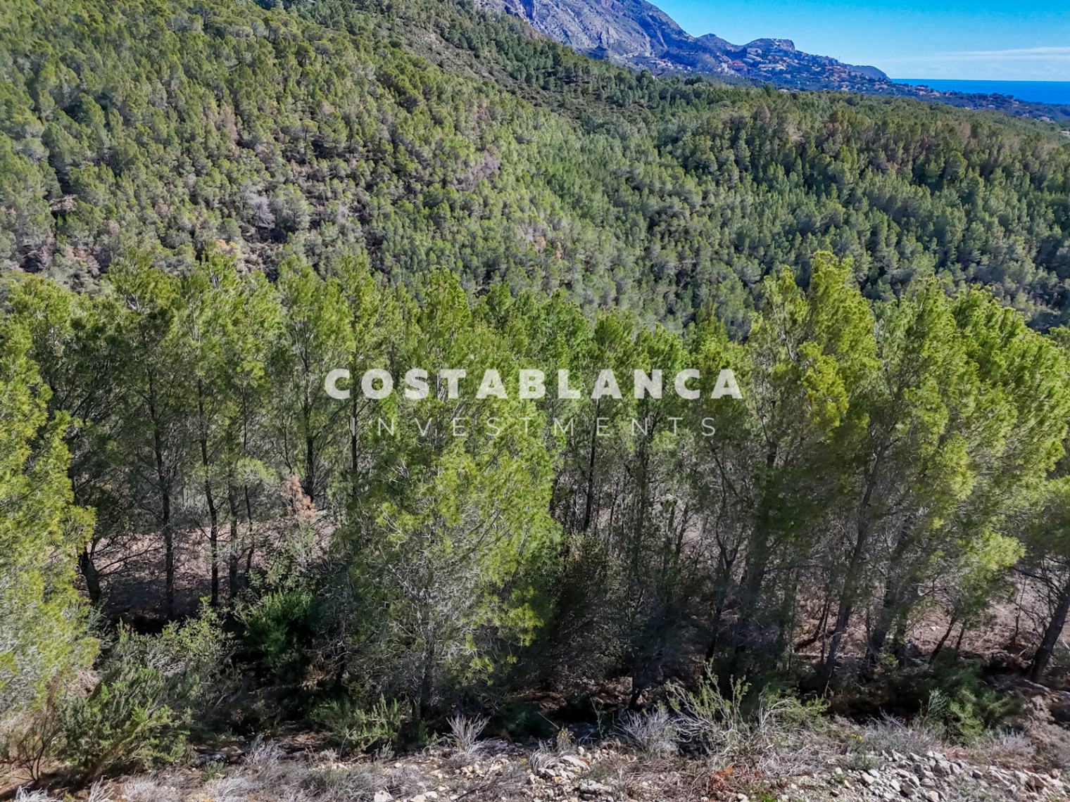 Plot – Altea: photo 7/7