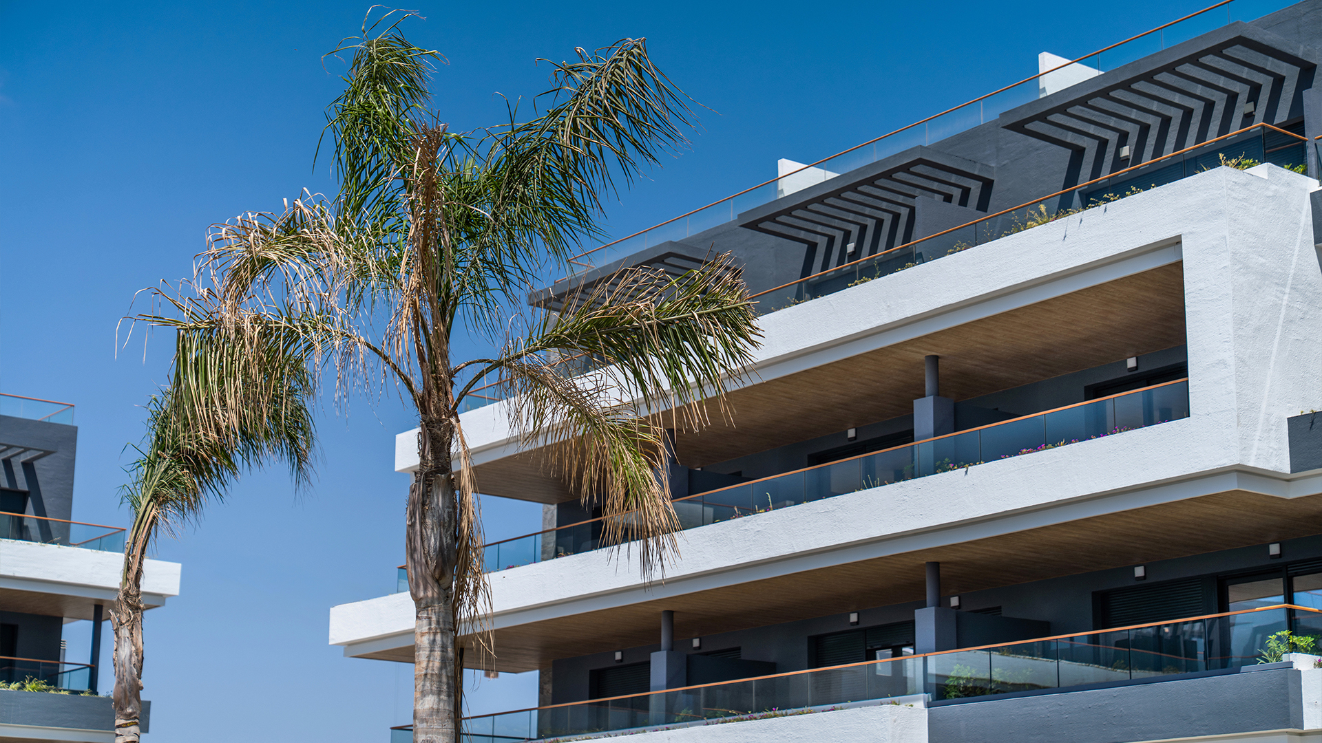 Apartment – Torrevieja (Alicante): photo 6/7